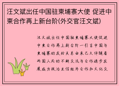 汪文斌出任中国驻柬埔寨大使 促进中柬合作再上新台阶(外交官汪文斌)